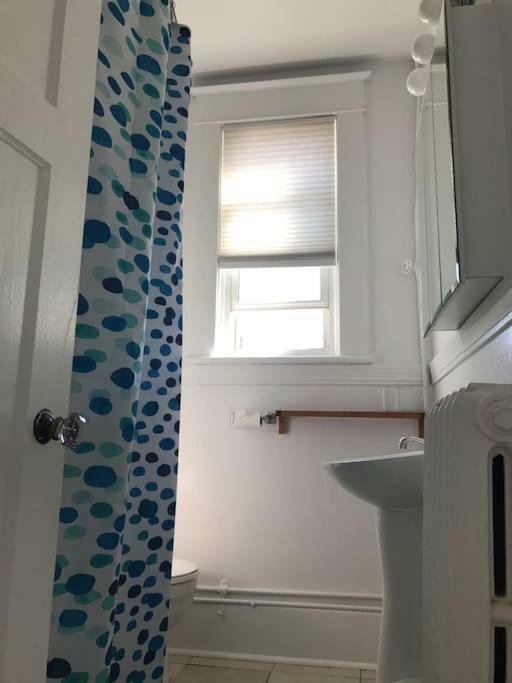 Bright, Clean, Private. In The Heart Of Downtown! Parking, Wi-Fi And Netflix Included Apartment Отава Екстериор снимка